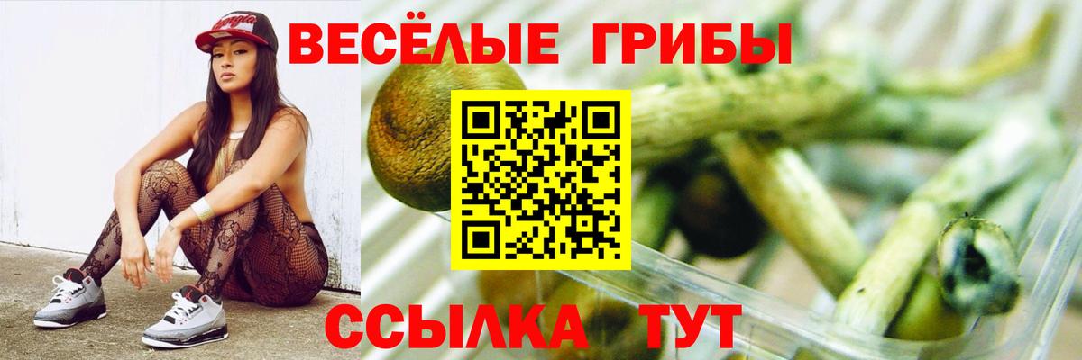 Кизилюрт  Галлюциногенные грибы Magic Shrooms  Вход с VPN 